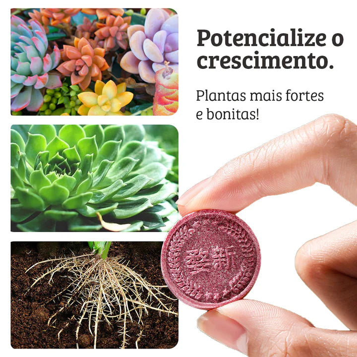 FERTILIZANTE ORGÂNICO - FERTILIZER™
