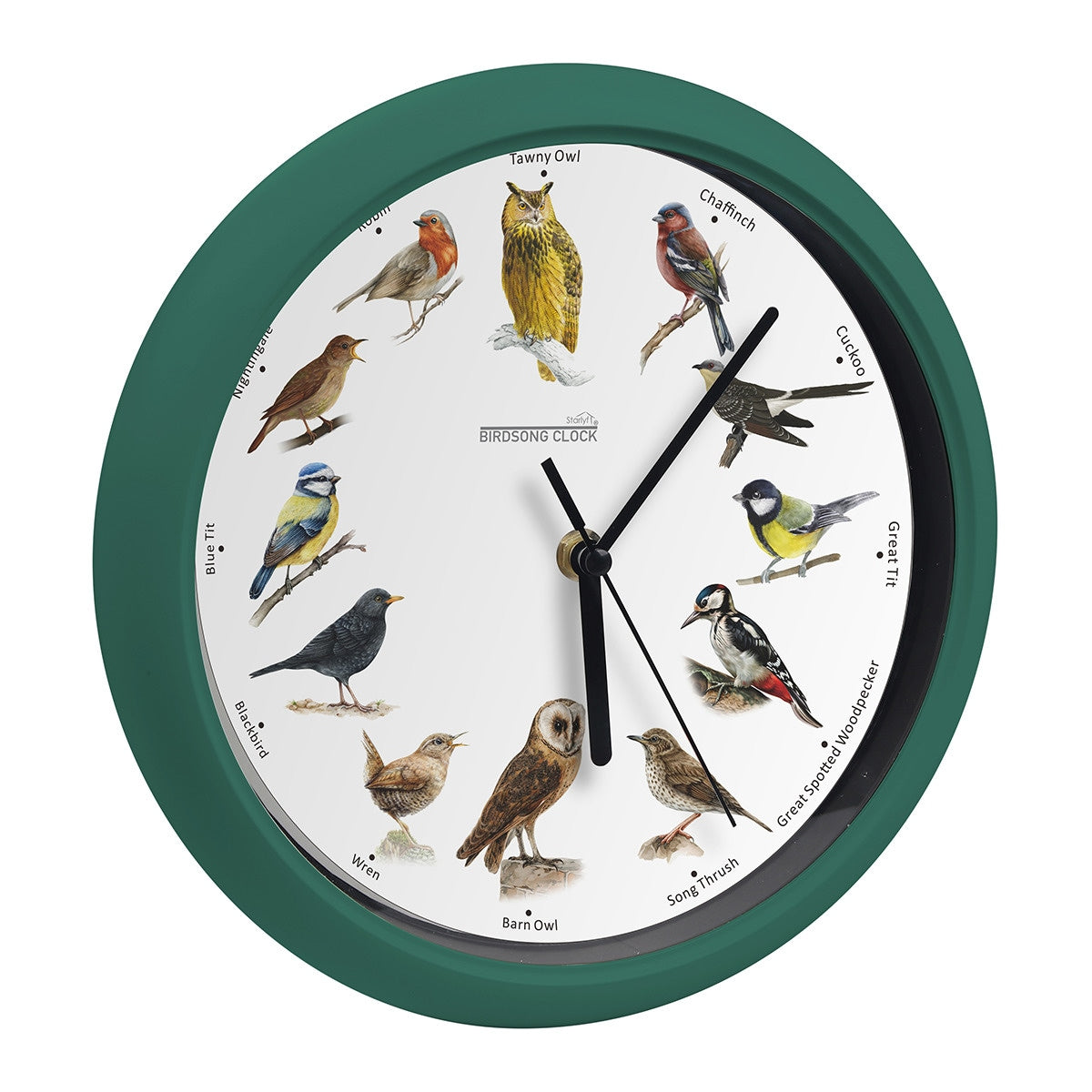 RELÓGIO DE PAREDE COM CANÇÕES DE PÁSSAROS REAIS - BIRDALARM™