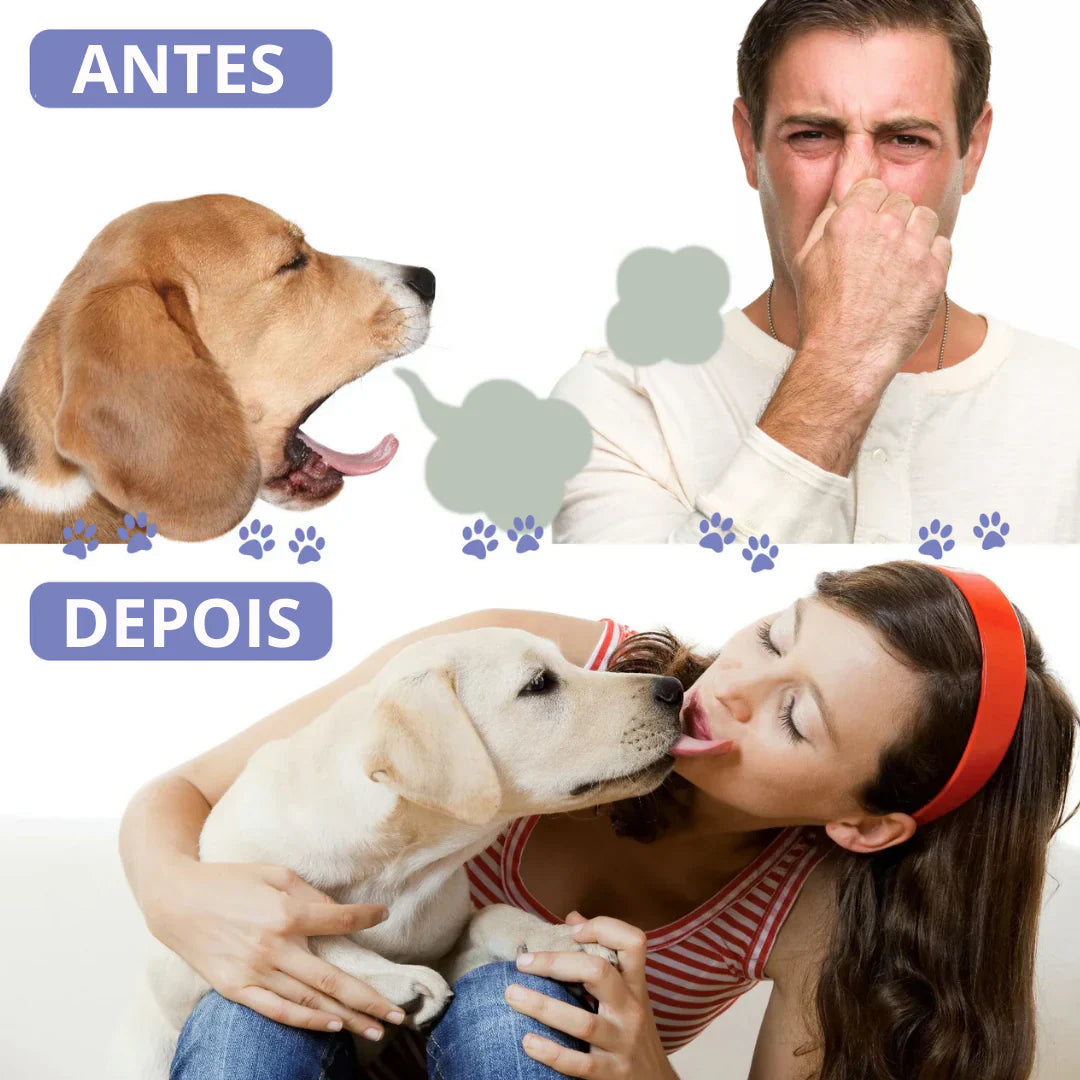LÁPIS DE TRATAMENTO DENTÁRIO PARA ANIMAIS DE ESTIMAÇÃO - PETTY™