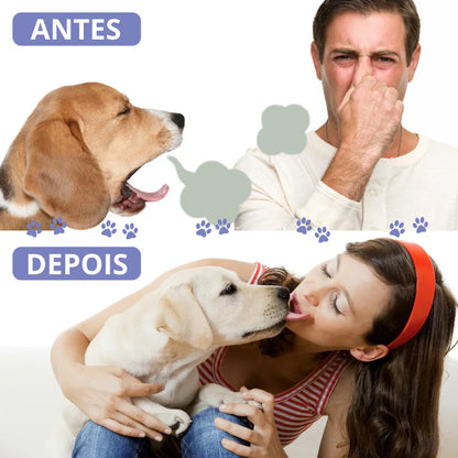 LÁPIS DE TRATAMENTO DENTÁRIO PARA ANIMAIS DE ESTIMAÇÃO - PETTY™