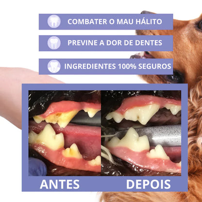 LÁPIS DE TRATAMENTO DENTÁRIO PARA ANIMAIS DE ESTIMAÇÃO - PETTY™