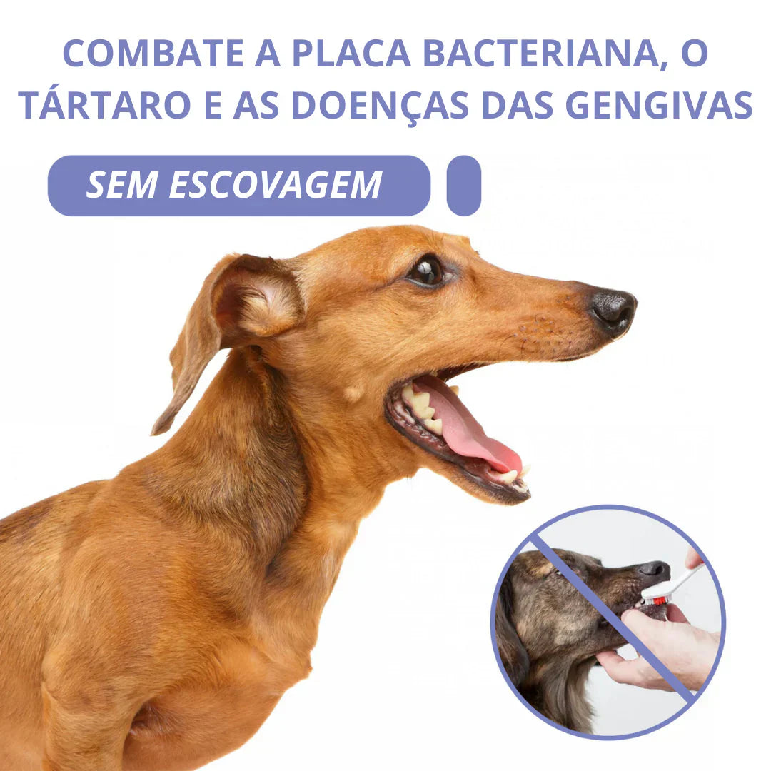LÁPIS DE TRATAMENTO DENTÁRIO PARA ANIMAIS DE ESTIMAÇÃO - PETTY™