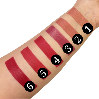 Conjunto de 6 Batons Estilo Matte 24 Horas - WYNIE™