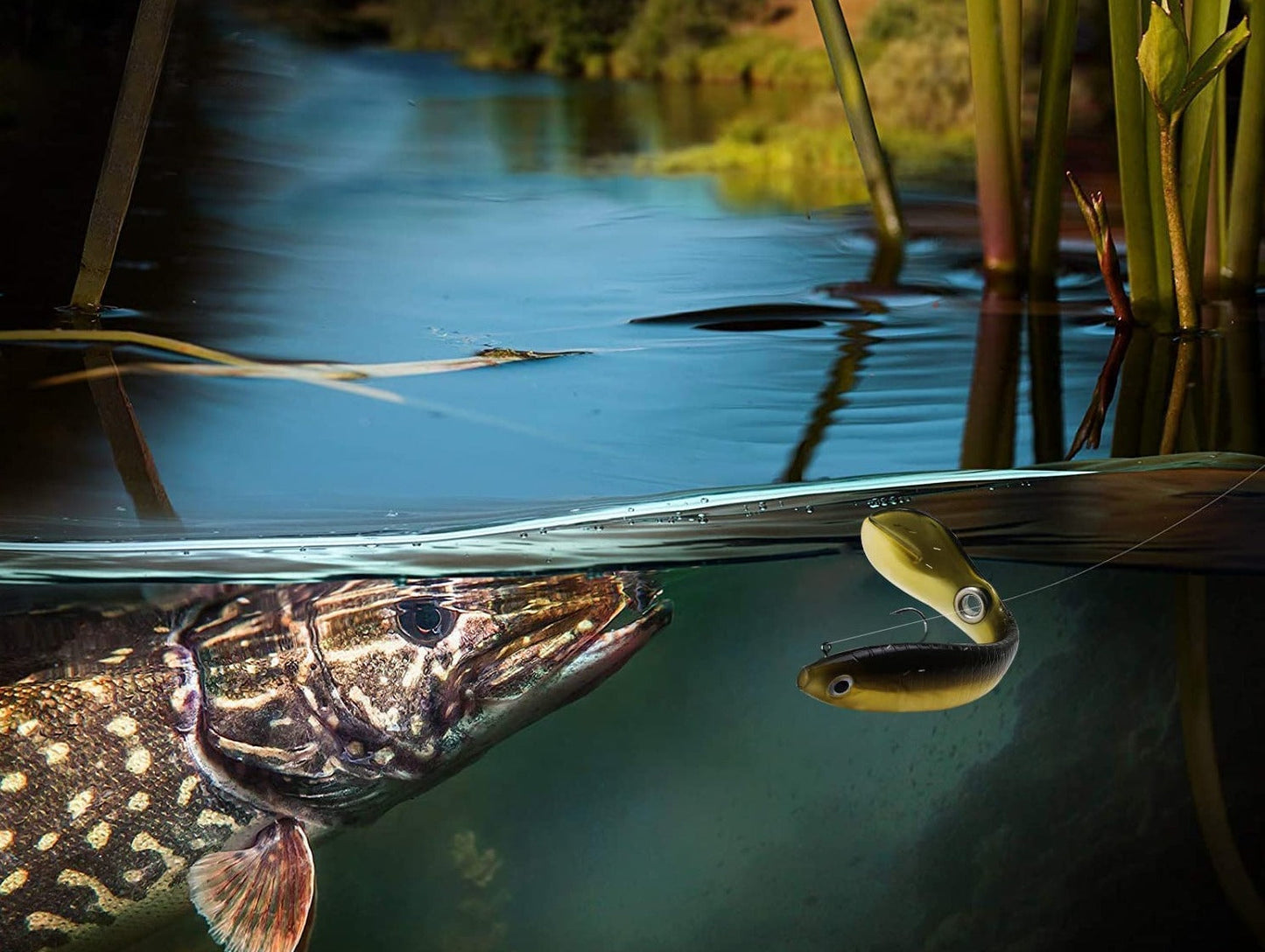 PACOTE DE 5 UNIDADES DE ISCAS BIÓNICAS - LUREFISH™