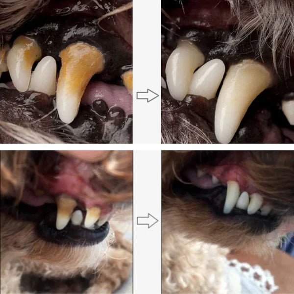 LÁPIS DE TRATAMENTO DENTÁRIO PARA ANIMAIS DE ESTIMAÇÃO - PETTY™